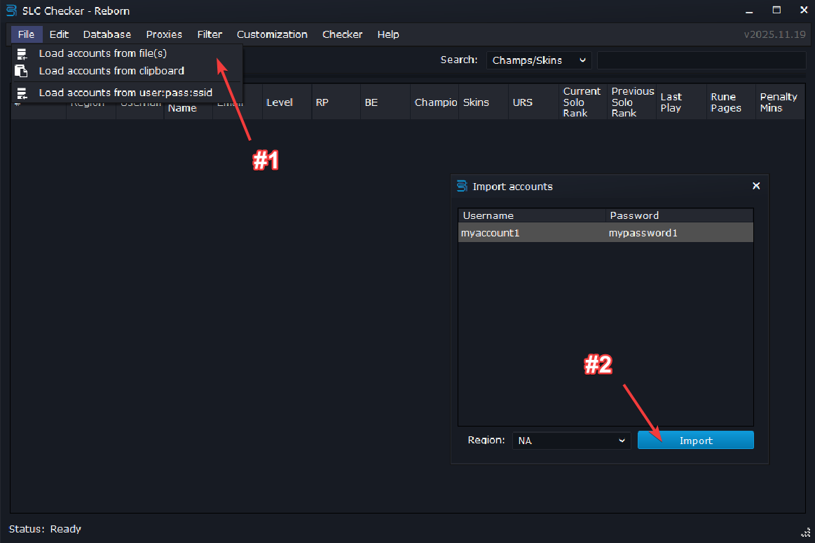 Accounts import panel